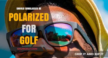 Golfers: Polarized Sunglasses, a Must-Have?