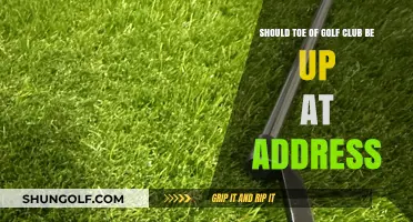 Should Your Golf Club Toe Be Up at Address? Pros and Cons