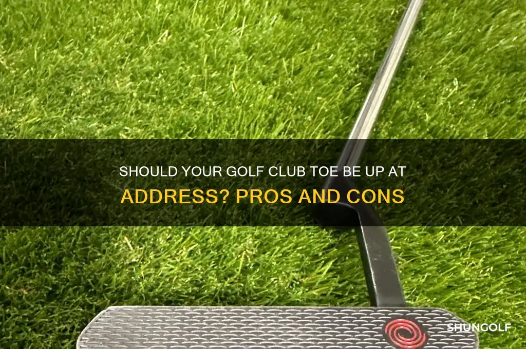 should toe of golf club be up at address