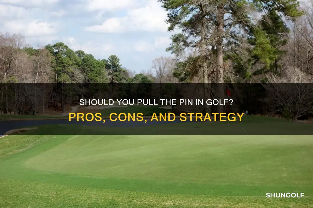 should you pull the pin in golf