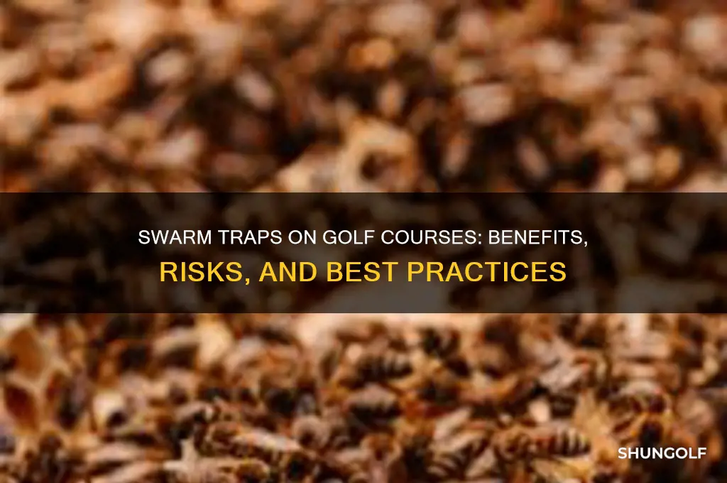 should you put a swarm trap on a golf course