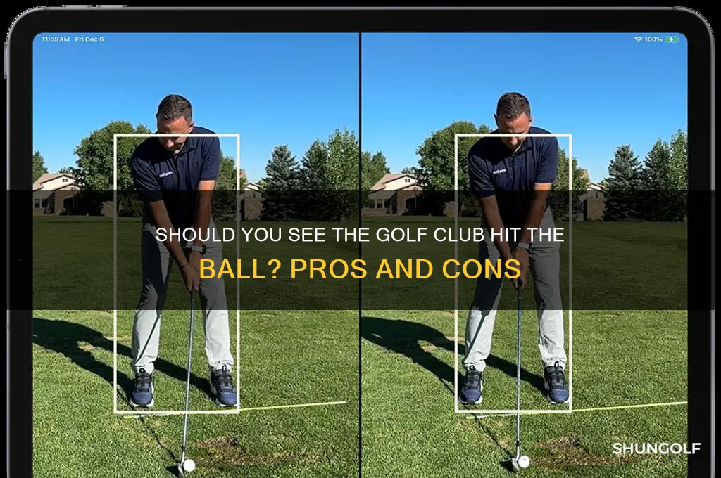 should you see the golf club hit the ball