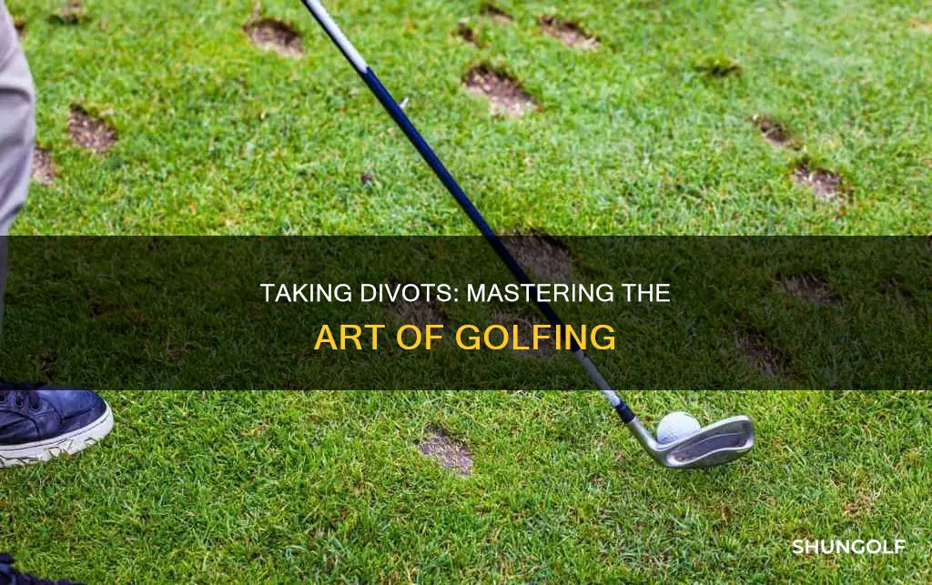 should you take a divot golfing