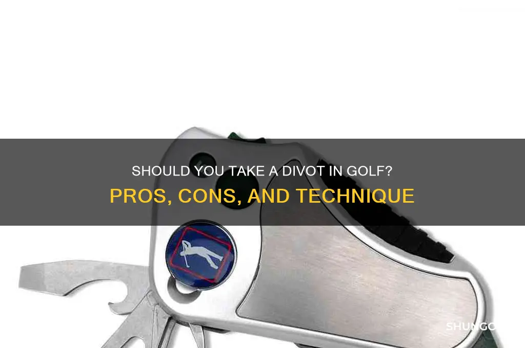 should you take a divot in golf