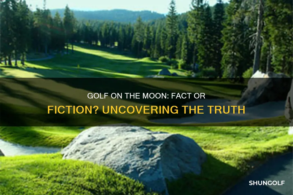 was a golf club and ball taken to the moon