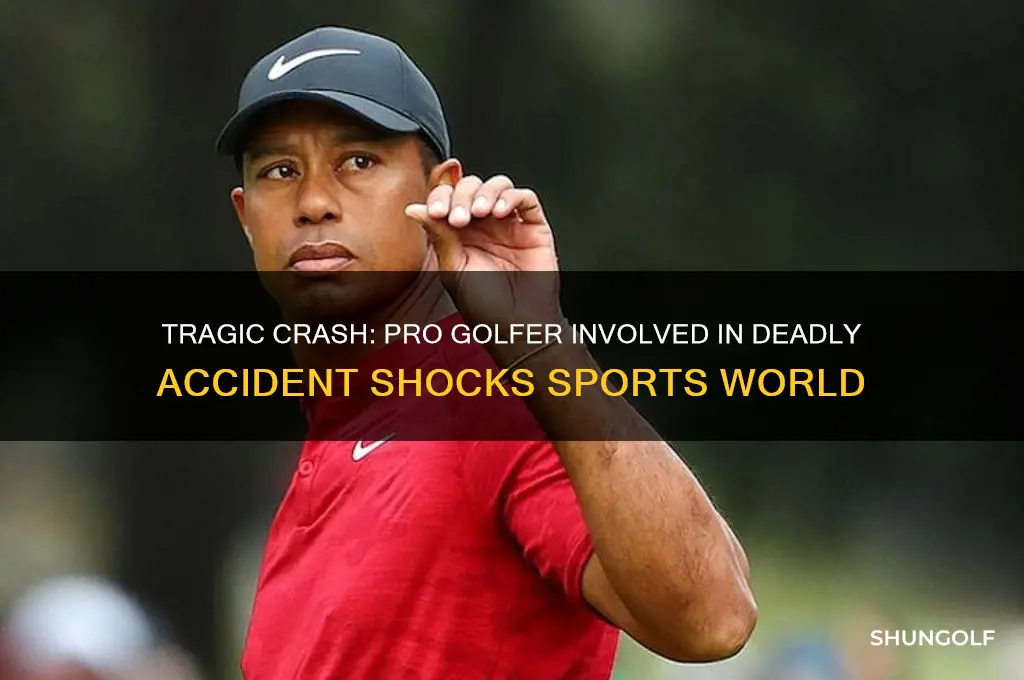 was a pro golfer in a deadly accident