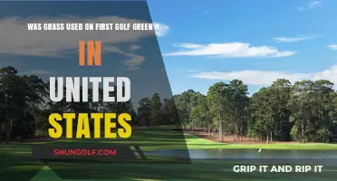 Unveiling the Origins: Grass on America's Inaugural Golf Green