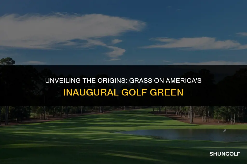 was grass used on first golf green in united states