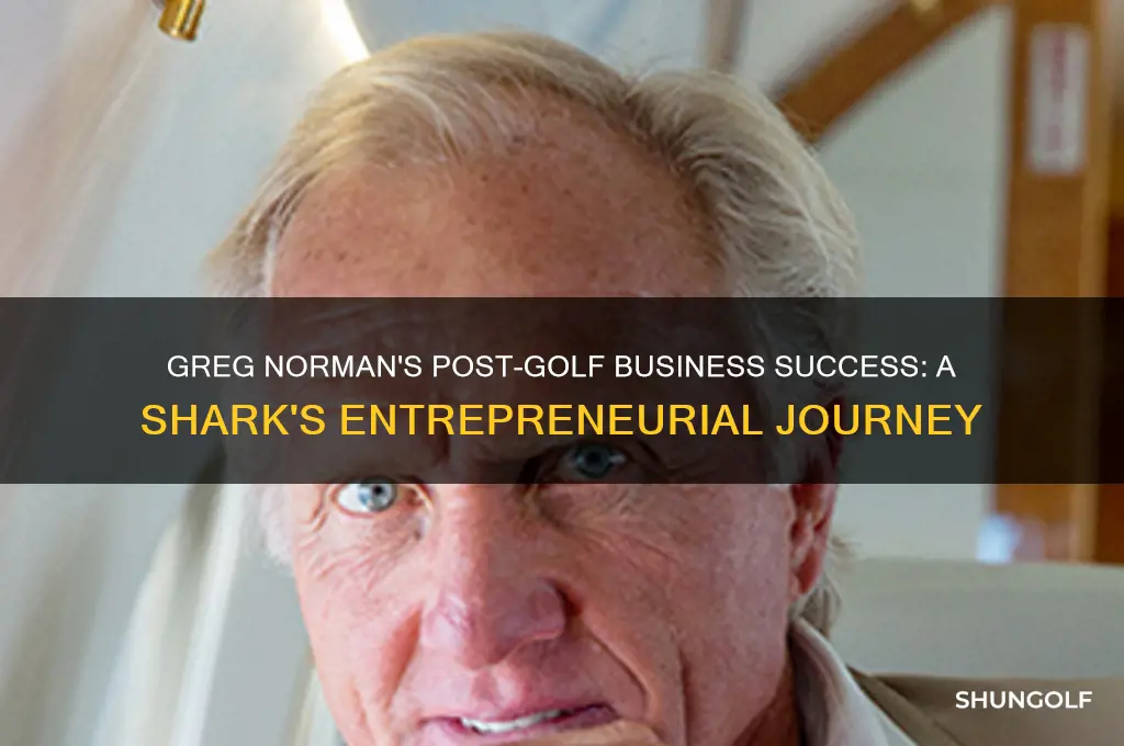 was greg norman a successful business man after golf