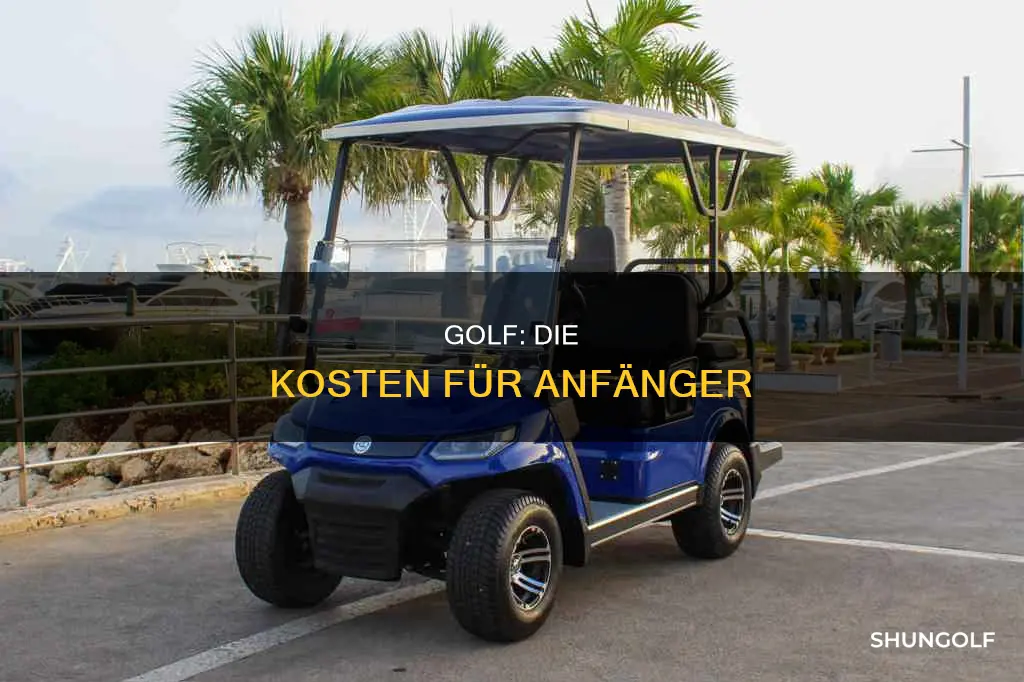 was kostet e golf