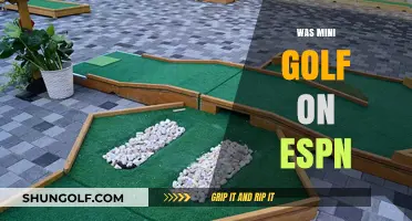 Mini Golf's ESPN Debut: A Hole-in-One?