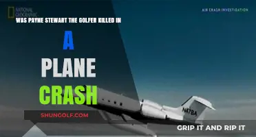 Payne Stewart's Tragic Plane Crash: The Golfer's Untimely Death