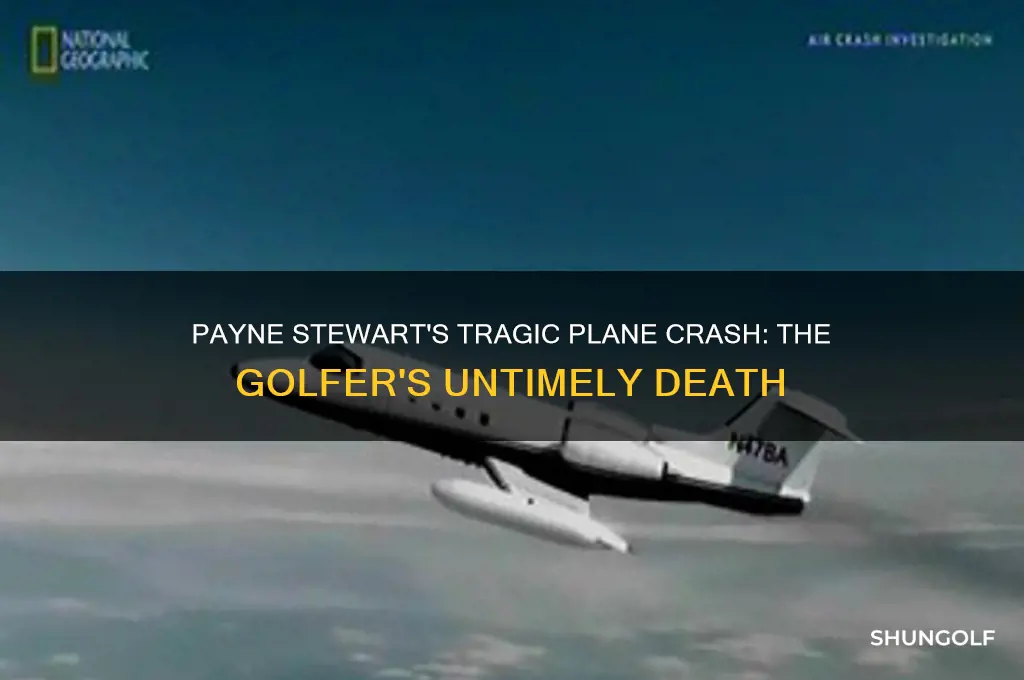 was payne stewart the golfer killed in a plane crash