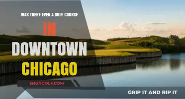 Did Downtown Chicago Ever Host a Golf Course?