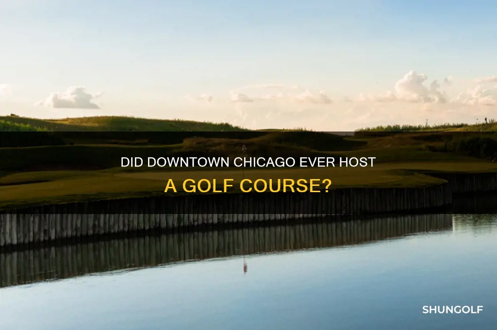 was there ever a golf course in downtown chicago