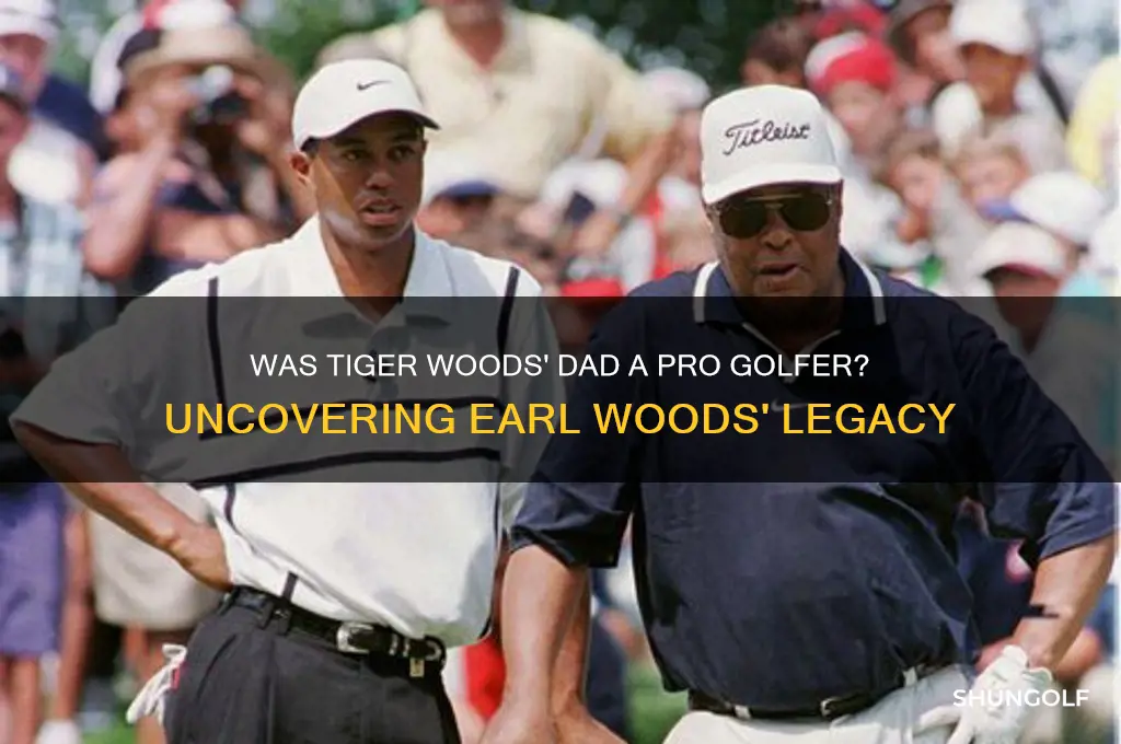 was tiger woods dad a pro golfer