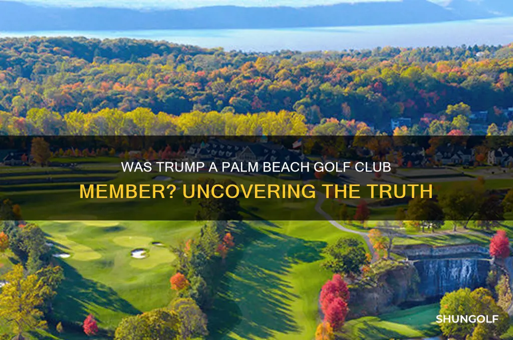 was trump ever a member of palm beach golf club