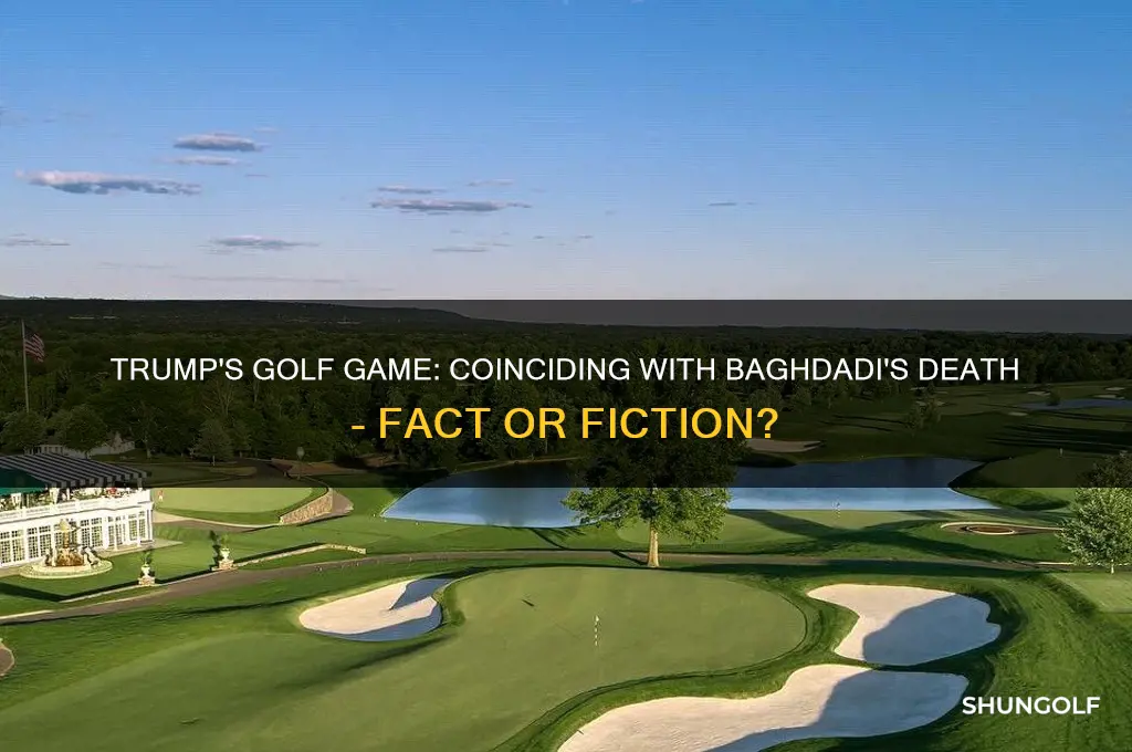 was trump golfing during baghdadi killing