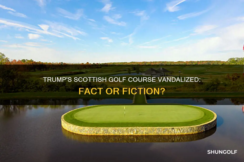 was trump