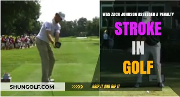 Zach Johnson's Golf Penalty Stroke: Fact or Fiction?