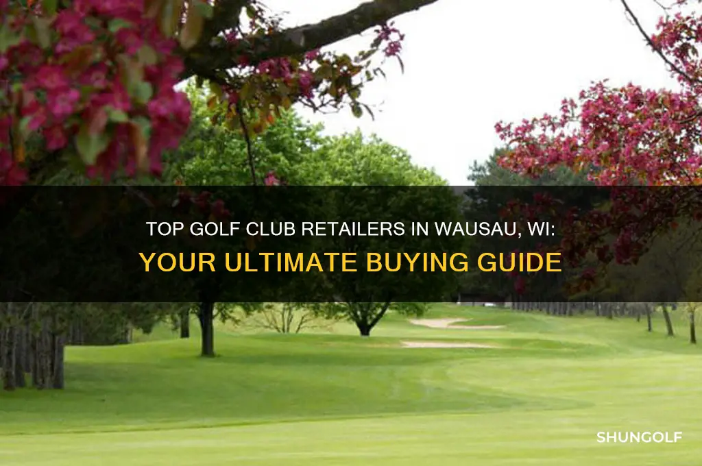 were can i buy golf clubs wausau wi