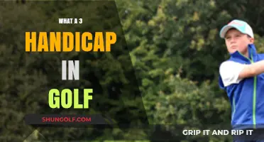 Understanding the Skill and Strategy of a 3 Handicap Golfer