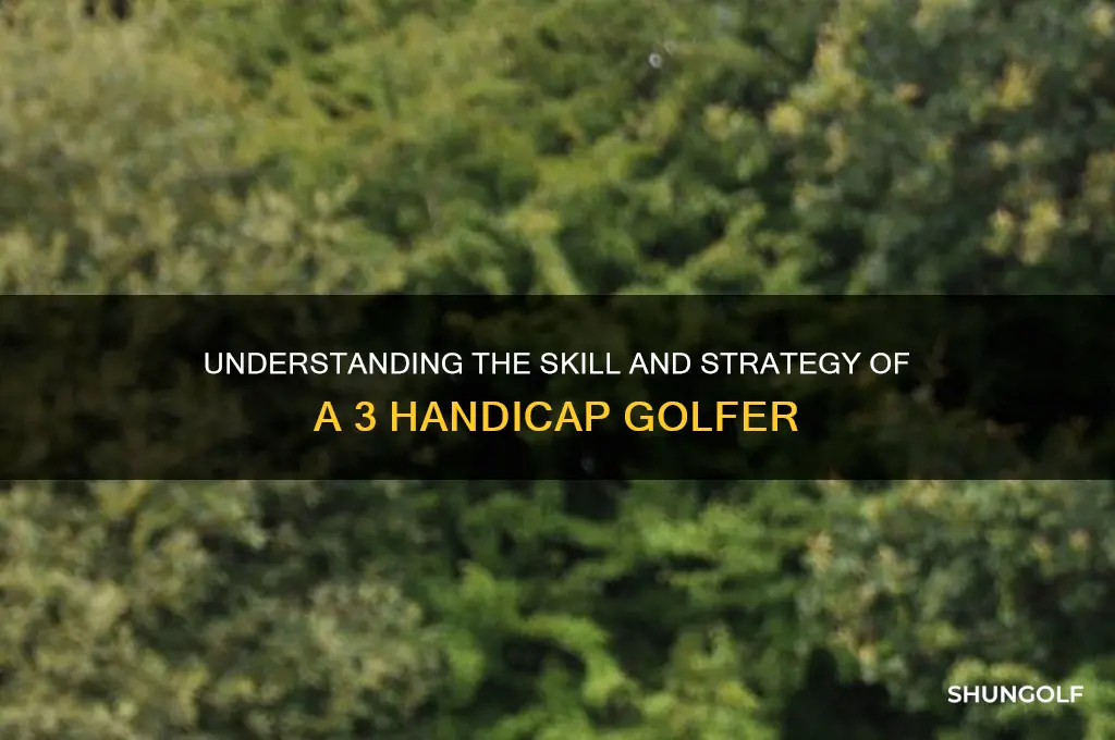 what a 3 handicap in golf