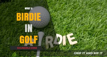 Golf Birdie Basics: How to Score Below Par