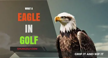 Golf Eagle: How to Score Fewer Strokes