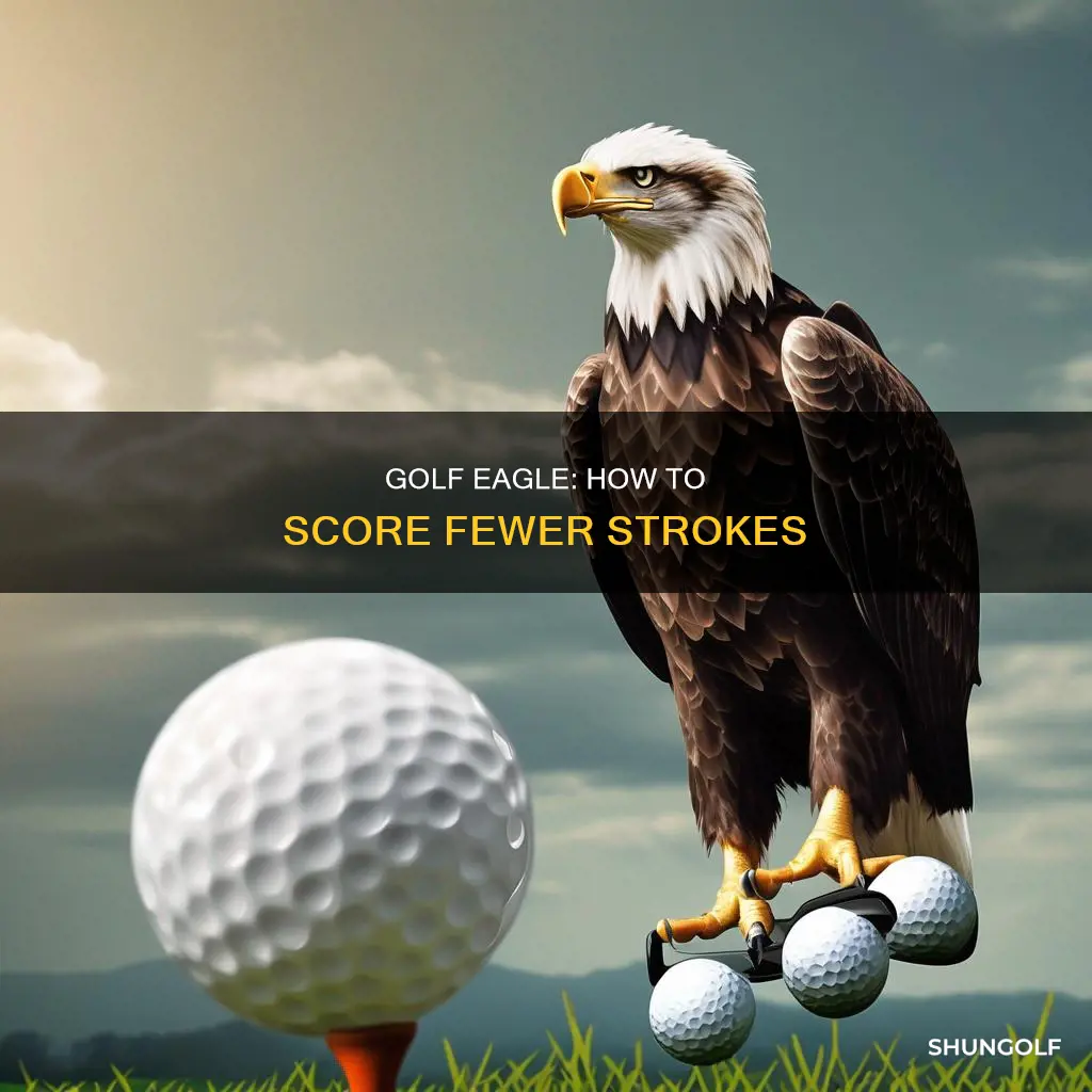 what a eagle in golf