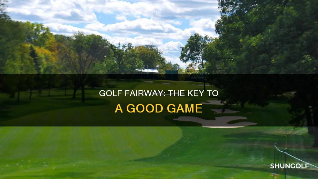 what a fairway in golf