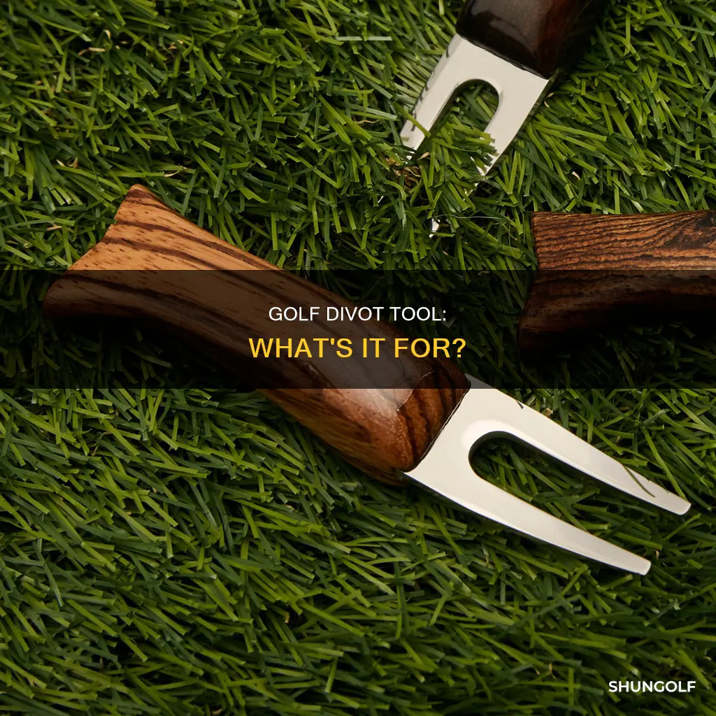 what a golf divot tool for
