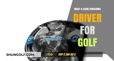 Mastering Forgiveness: The Ideal Driver for Golf Beginners