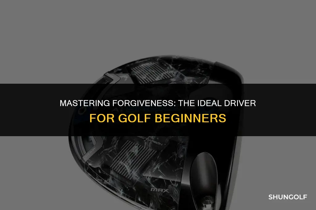 what a good forgiving driver for golf