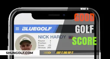 Decoding the Perfect Round: What Constitutes a Good Golf Score?