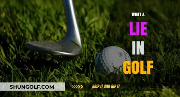 Golf's 'Lie': How to Improve Your Game
