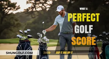 Golfing Glory: Achieving the Perfect Score