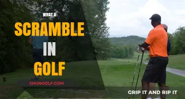 Golf Scramble: Teamwork Makes the Dream Work