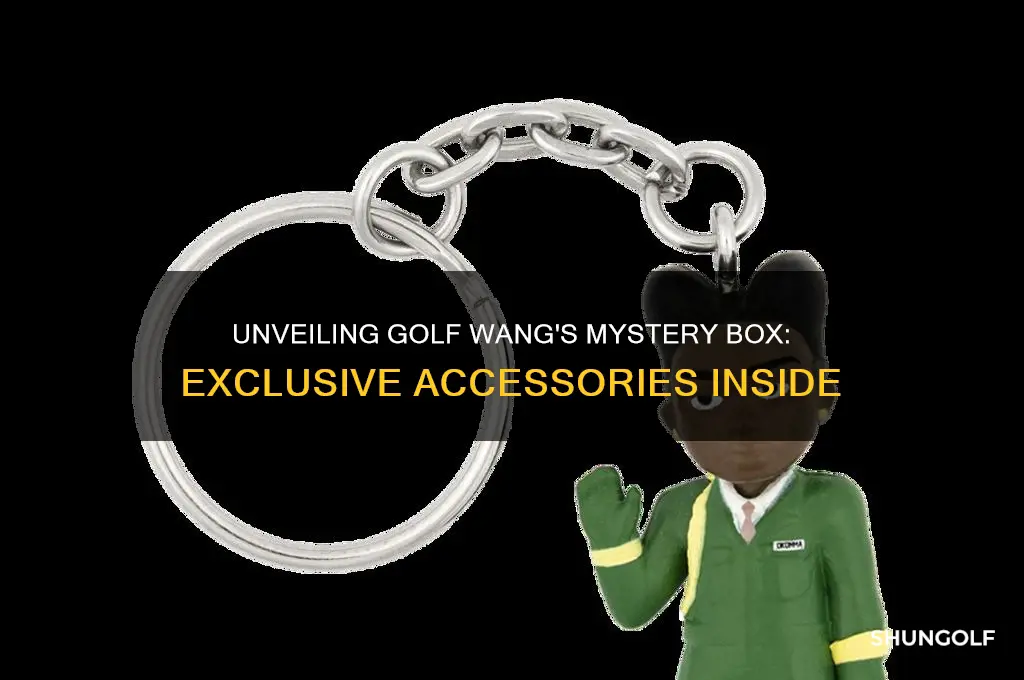 what accessories come in the mystery box golf wang