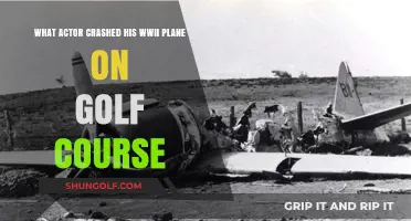 Actor's WWII Plane Crashes on Golf Course: Who Was Flying?