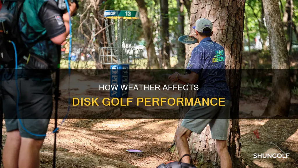 what affects a disk golf disk