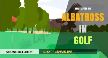 Albatross and Beyond: Golf's Greatest Achievements