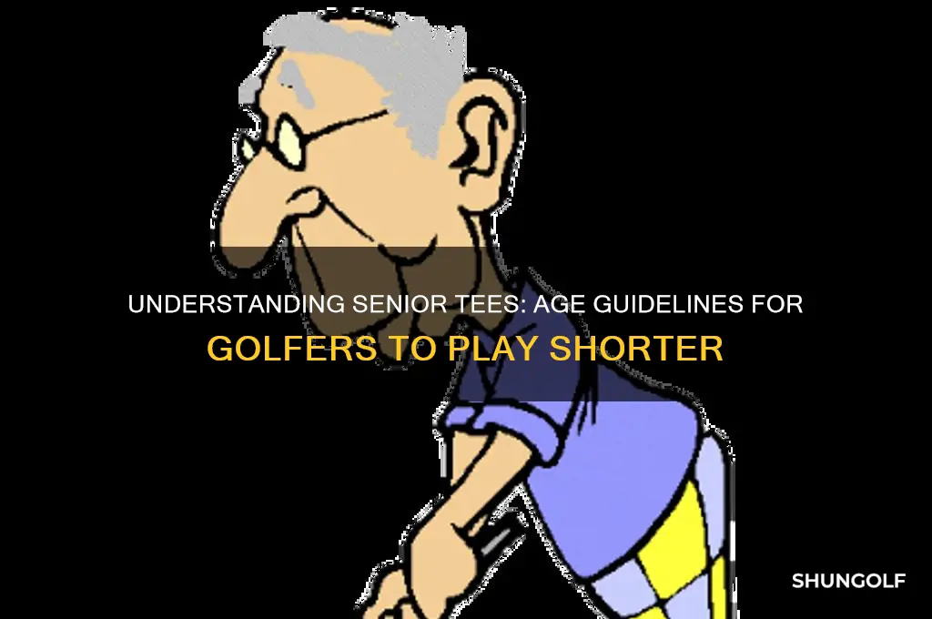 what age are senior tees in golf
