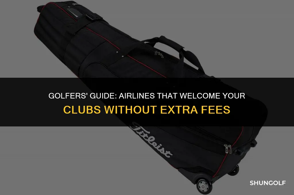 what airlines don