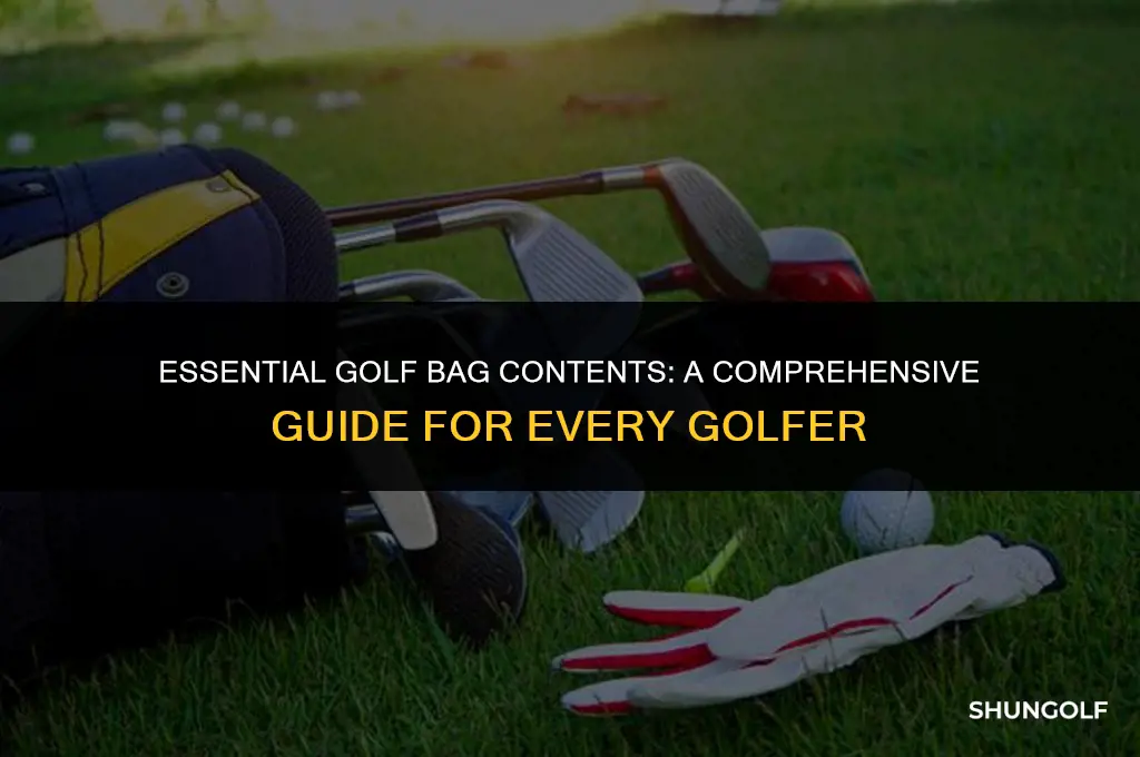 what all should i have in my golf bag