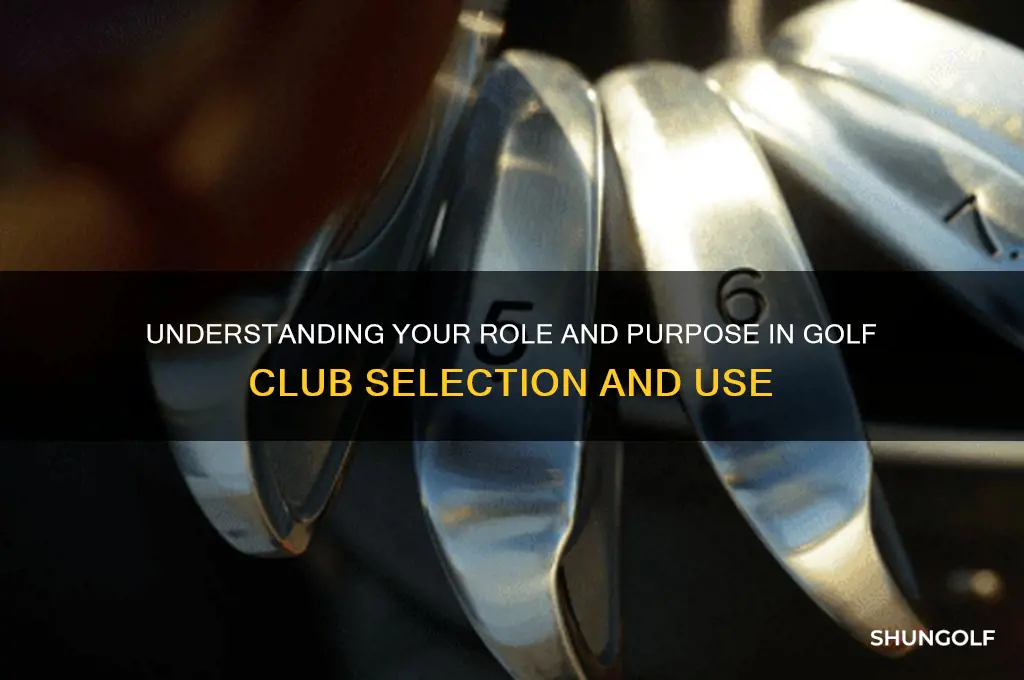 what am i for golf clubs