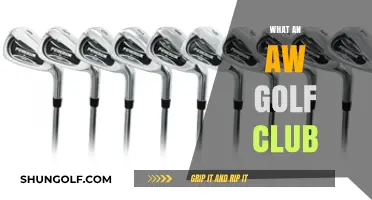 What Makes an AW Golf Club Essential for Your Game?