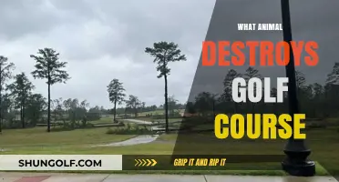 Wildlife Woes: Which Animal Causes the Most Golf Course Damage?