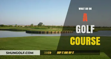 Understanding the Purpose and Function of Ar on Golf Courses