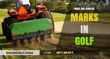 Aerated Marks: Golf Course Maintenance 101